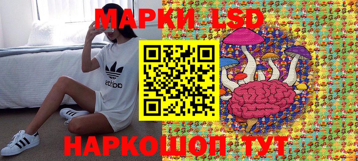 Наркотические марки 1500мкг  Вход с VPN  Наркотические марки 1500мкг  Дзержинск 