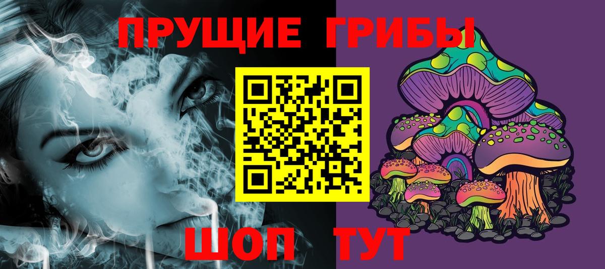 Дзержинск  Галлюциногенные грибы прущие грибы  Вход с VPN 