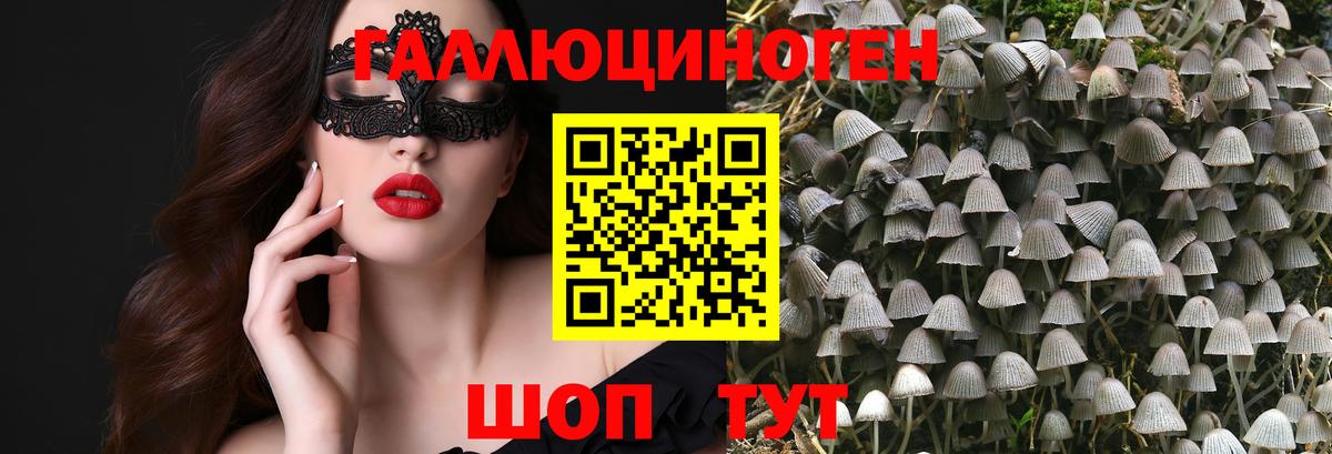 Псилоцибиновые грибы GOLDEN TEACHER Дзержинск